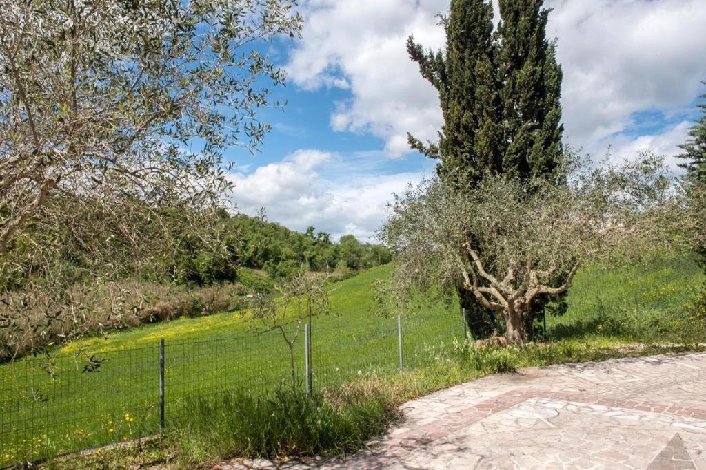 Apartment N202 - Numana, Comodo Bilocale Vicino Al Mare Numana
